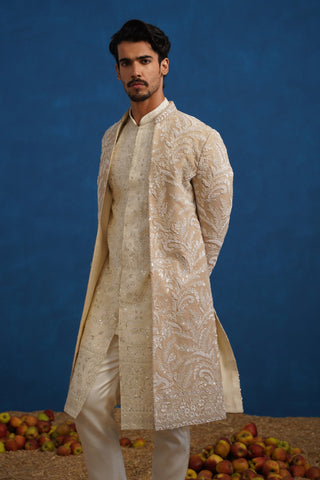 TEJAS CUTDANA CHIKU SHERWANI SET
