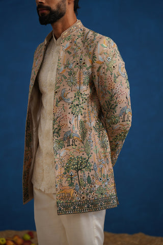 PARIND CHIKU JODHPURI SET