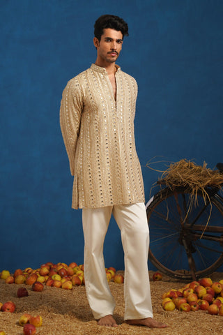 VISHAL PANDEY IN AAINA GOLDEN SHORT KURTA SET