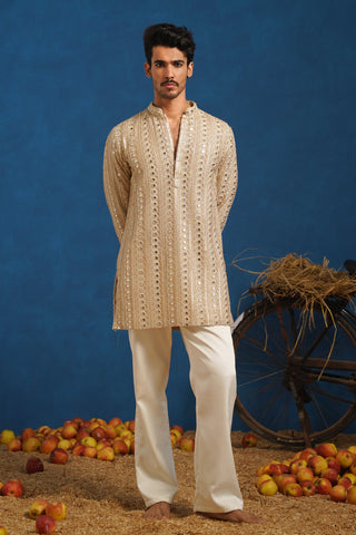 VISHAL PANDEY IN AAINA GOLDEN SHORT KURTA SET