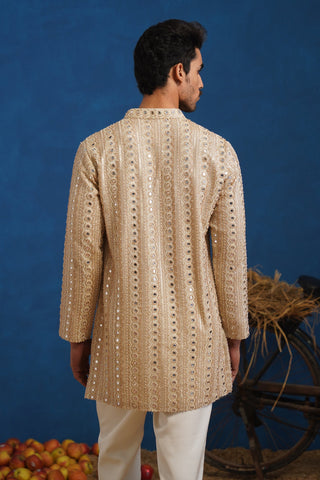 VISHAL PANDEY IN AAINA GOLDEN SHORT KURTA SET