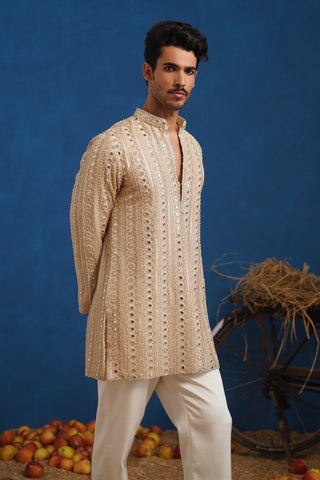 VISHAL PANDEY IN AAINA GOLDEN SHORT KURTA SET
