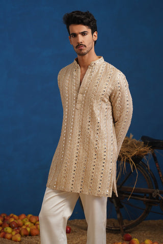 VISHAL PANDEY IN AAINA GOLDEN SHORT KURTA SET