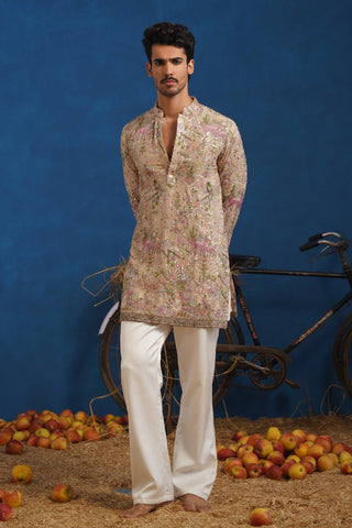 VISHNU KAUSHAL IN HEERAN CHIKU SHORT KURTA SET