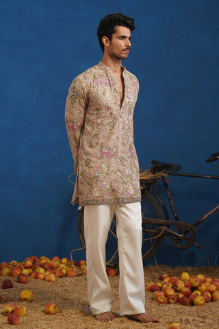 VISHNU KAUSHAL IN HEERAN CHIKU SHORT KURTA SET