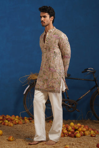 VISHNU KAUSHAL IN HEERAN CHIKU SHORT KURTA SET