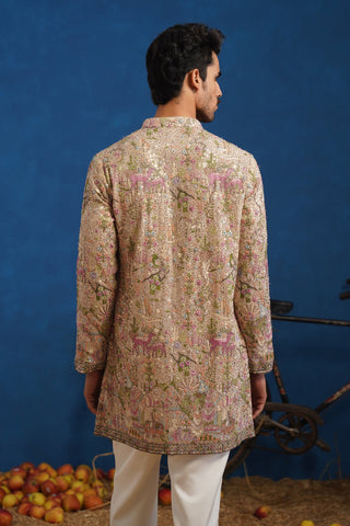 VISHNU KAUSHAL IN HEERAN CHIKU SHORT KURTA SET