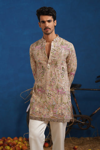 HEERAN CHIKU SHORT KURTA SET