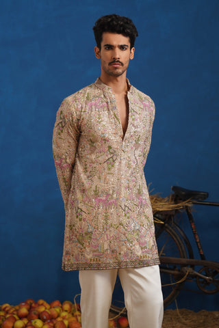 VISHNU KAUSHAL IN HEERAN CHIKU SHORT KURTA SET