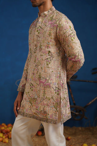 VISHNU KAUSHAL IN HEERAN CHIKU SHORT KURTA SET