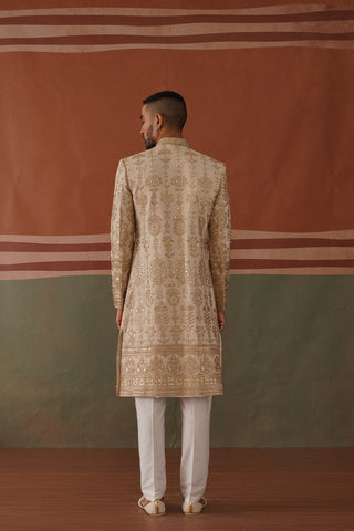 Rehan - Sherwani in Light Mehandi
