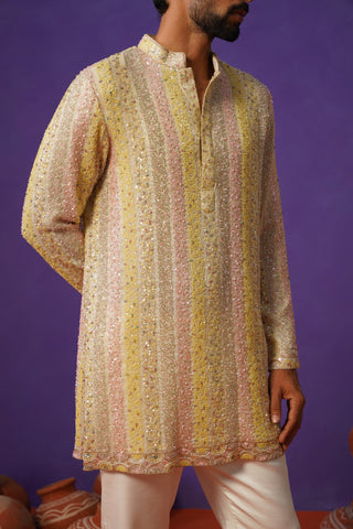 AAFREEN MULTI SHORT KURTA SET