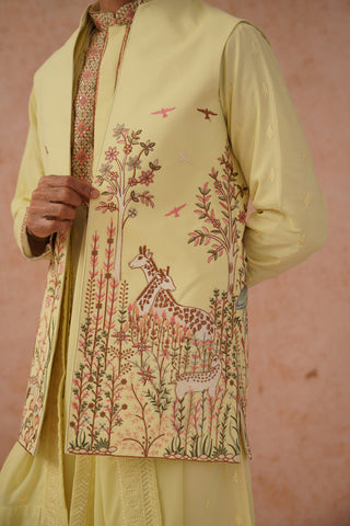 Avir Jacket Kurta Set with dupatta