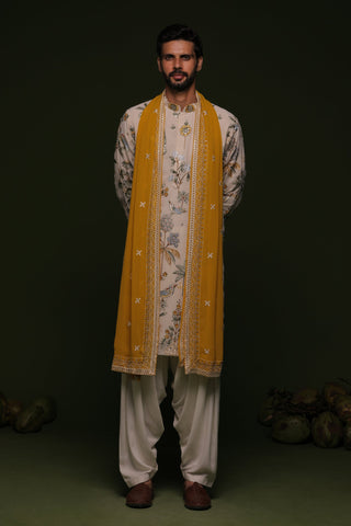 Vansh Multi Kurta set with patiyala and dupatta