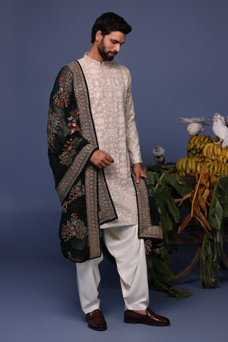 Faiz Beige Kurta Set