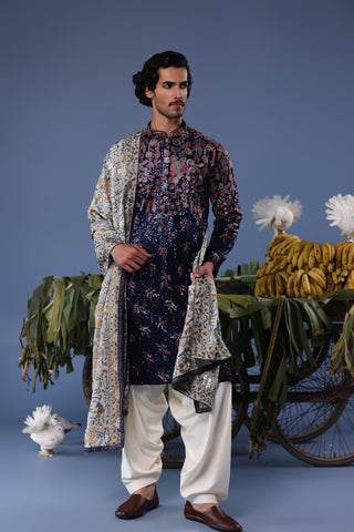 Aparshakti Khurana  in Mihir Blue Kurta Set