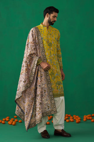 RISHABH CHAWLA IN BIRD HALDI KURTA SET
