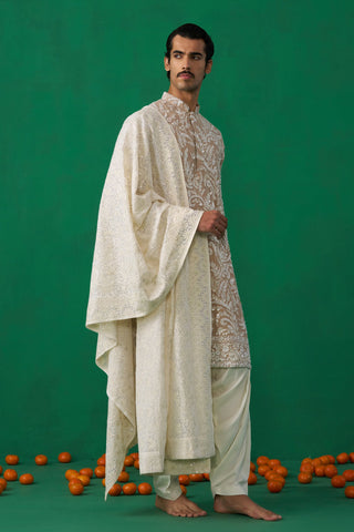 LEAF CHIKU KURTA SET