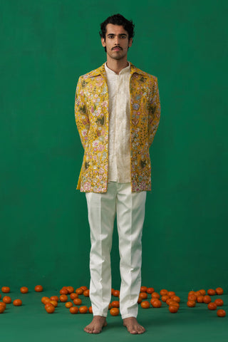 PhOOLPANKH HALDI JODHPURI SET